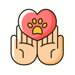 Logo Nulle Patte Alleurs